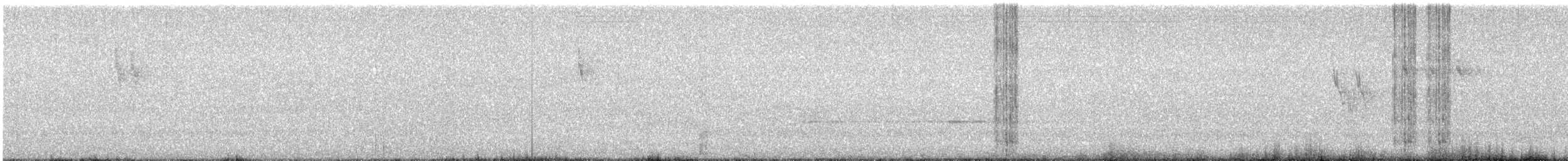 White Wagtail - ML618955160