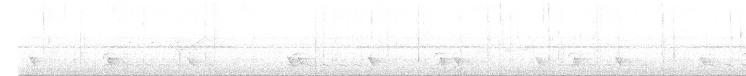 Swallow-tailed Manakin - ML618956124