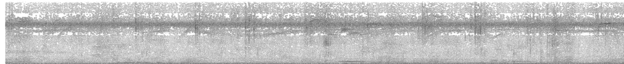 White-tipped Dove - ML618958958