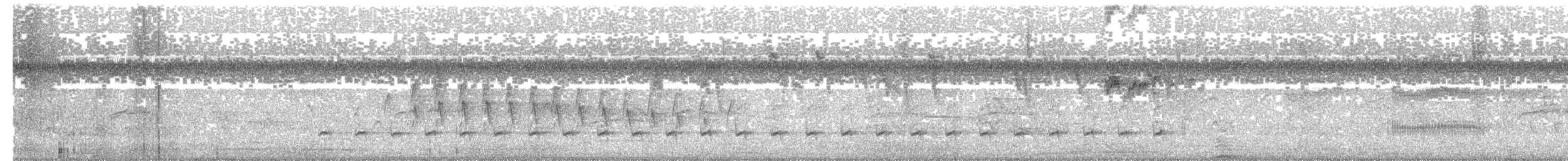 Pale-eyed Pygmy-Tyrant - ML618959170