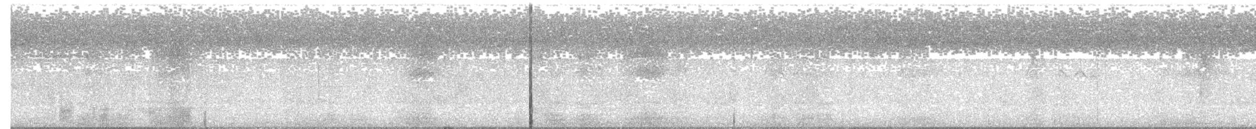 White-collared Swift - ML618959512