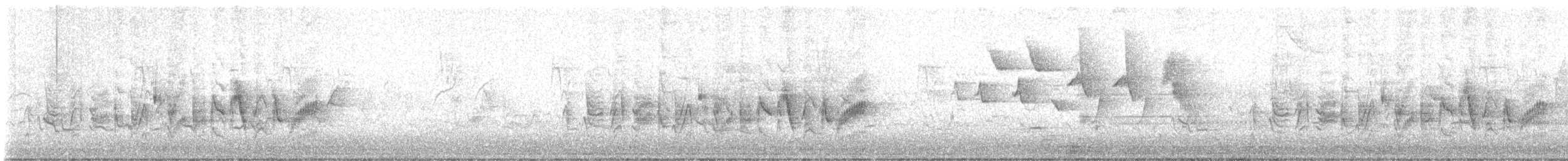 Bell's Vireo - ML618959696