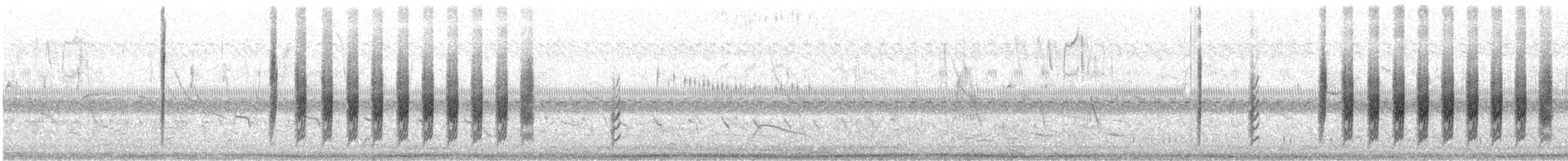 Petit Tardivole - ML618961986