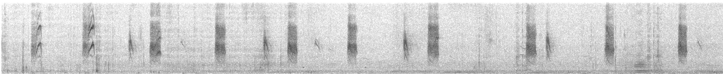 Sporophile d'Ibera - ML618962474