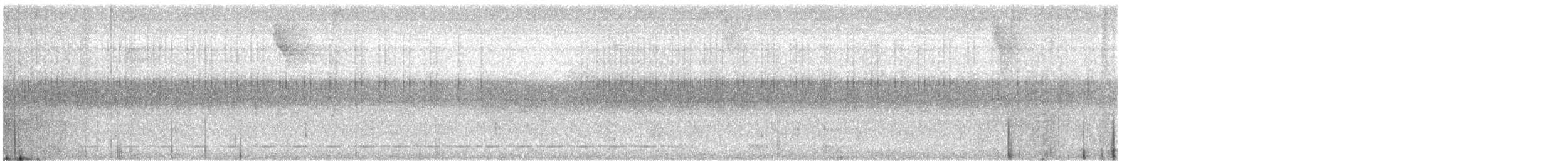 Short-tailed Antthrush - ML618964936