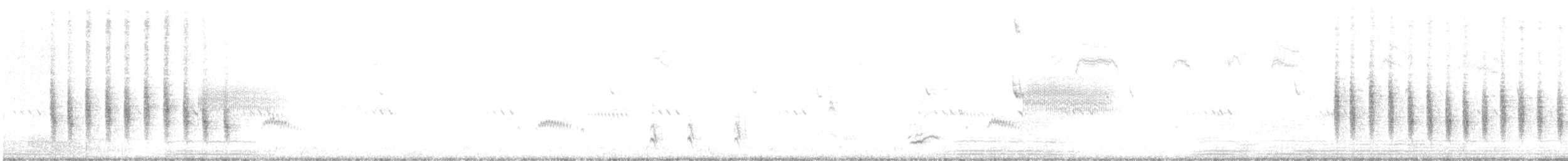 Yellow-breasted Chat - ML618965711