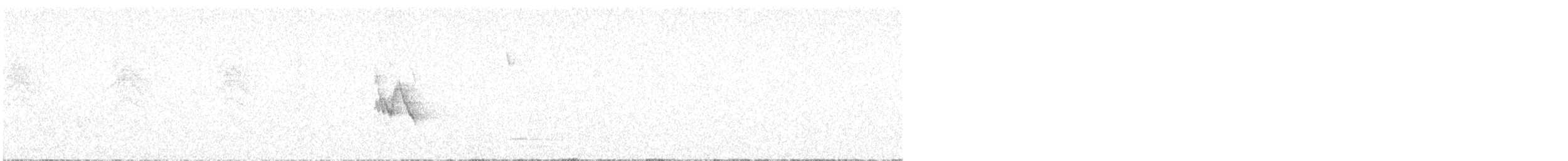 Белокрылая канделита - ML618966095