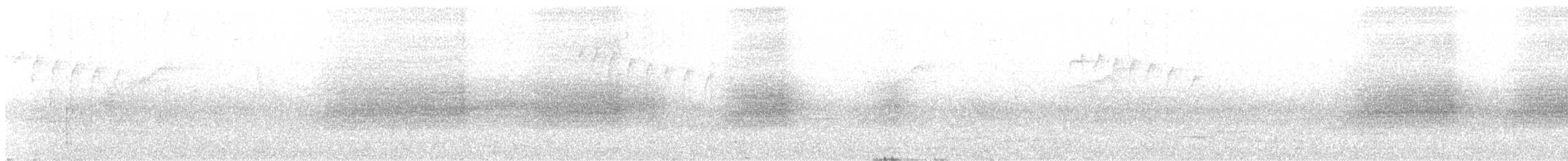 Rufous-breasted Hermit - ML618966161