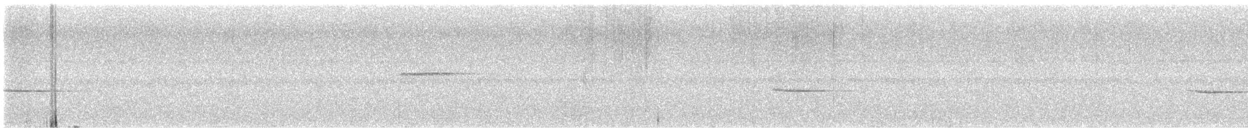 Troglodyte siffleur - ML618967562