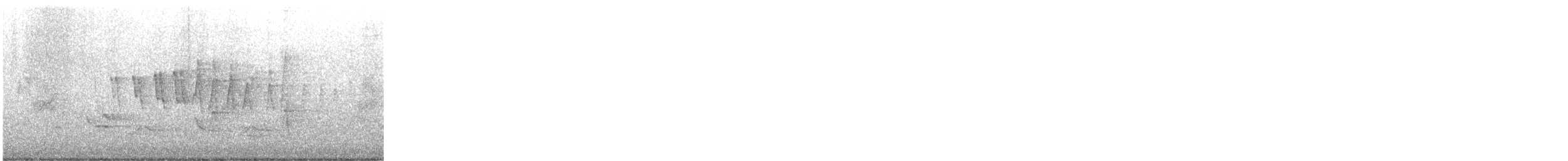 Paruline à calotte noire - ML618970130