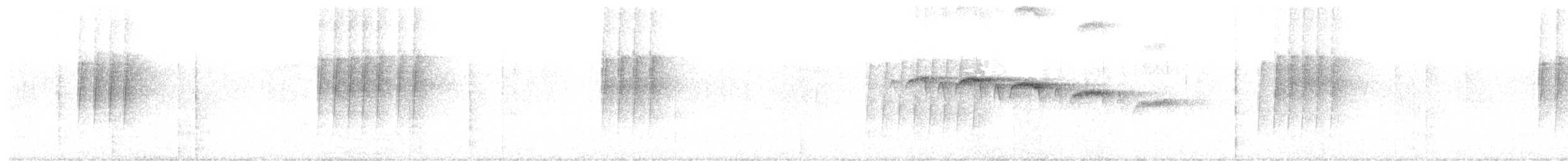 Damalı Karıncakuşu - ML618970267