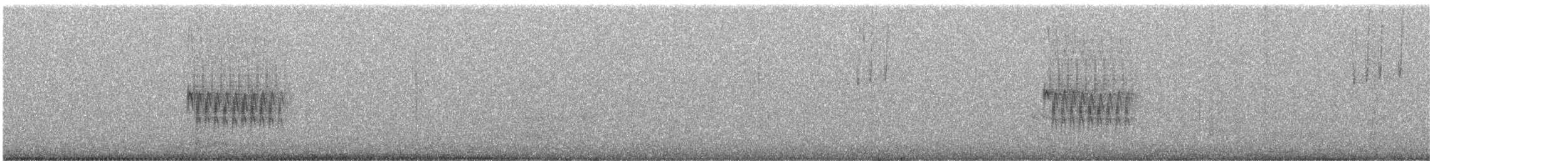 Тауї плямистий - ML618970595