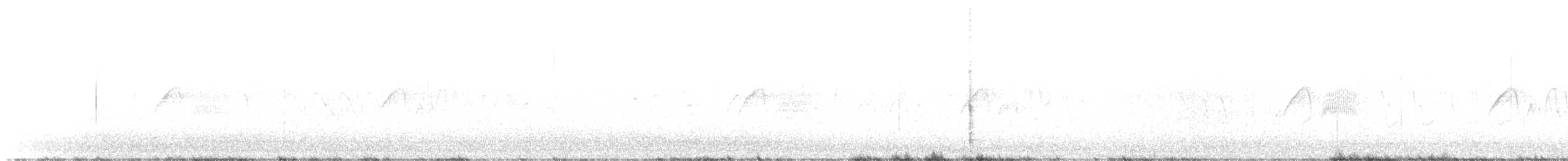 Светлобрюхий фиби - ML618970736