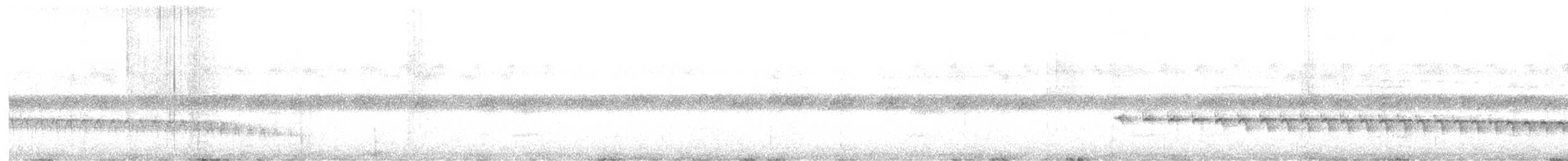 Weißstirn-Ameisenschnäpper - ML618970845
