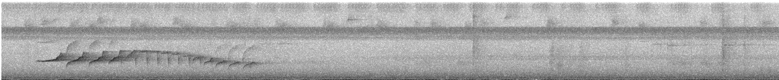Braunweiß-Ameisenvogel - ML618971699