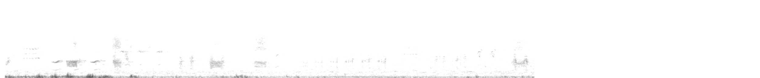 クロハラアジサシ - ML618971889