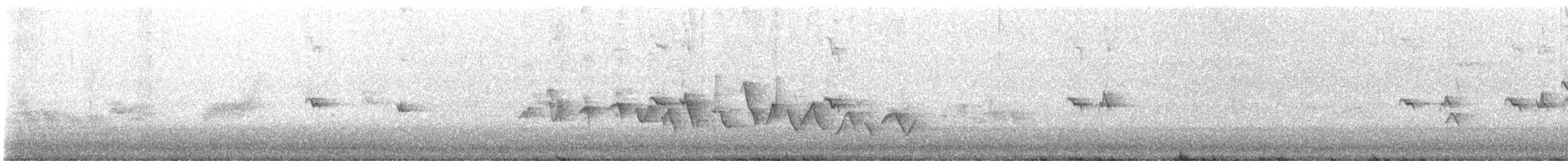 House Finch - ML618972661