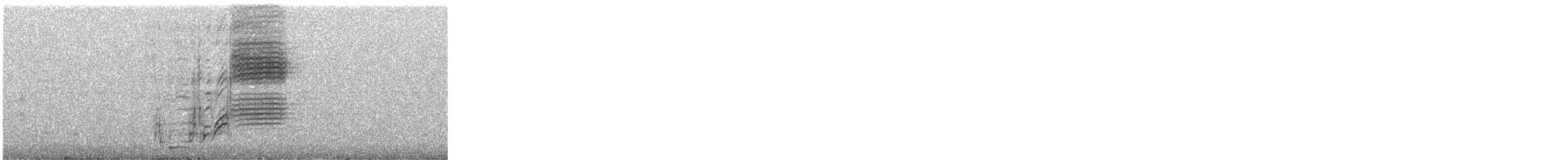 Brewer's Blackbird - ML618974629