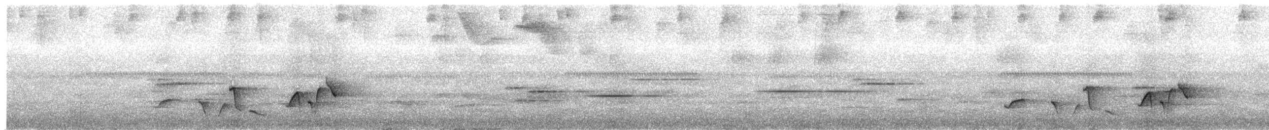 Troglodyte à poitrine grise - ML618977261