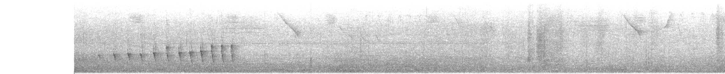 Chocó-Strichelameisenschlüpfer - ML618979535