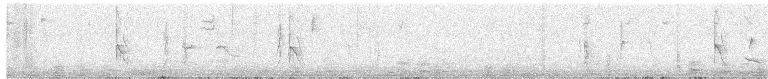 Weißbauch-Dickichtschlüpfer - ML618980068