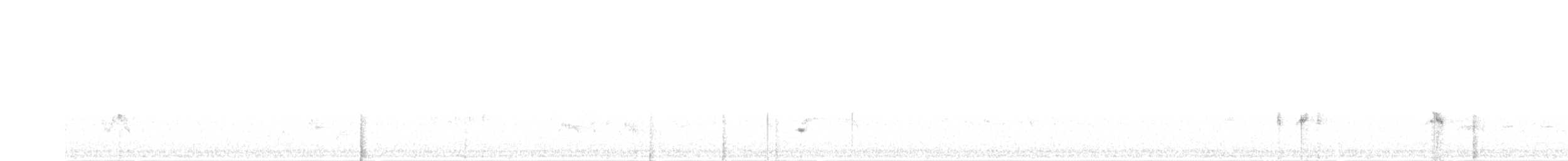 Тремблер прямодзьобий - ML618981689