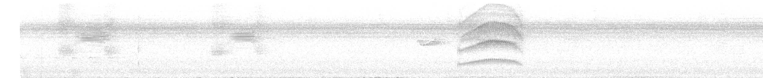 Поплітник амазонійський - ML618991369