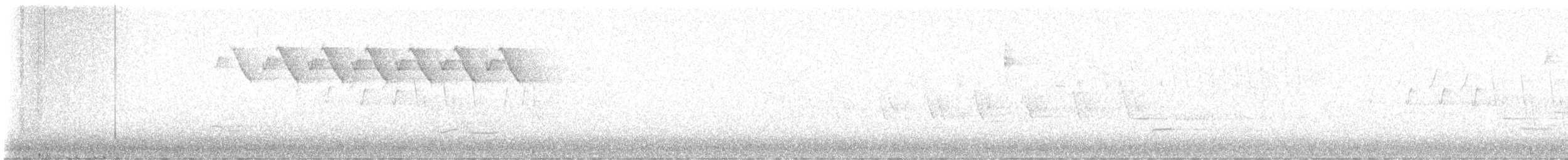 Paruline noir et blanc - ML618991659