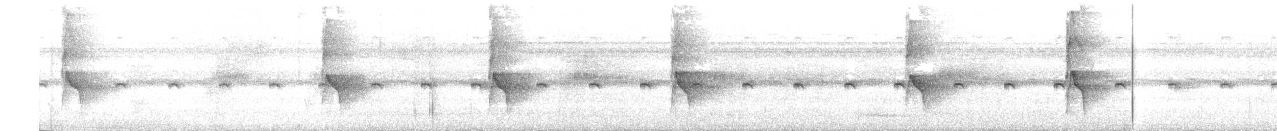 Nacktstirn-Ameisenvogel - ML618992121