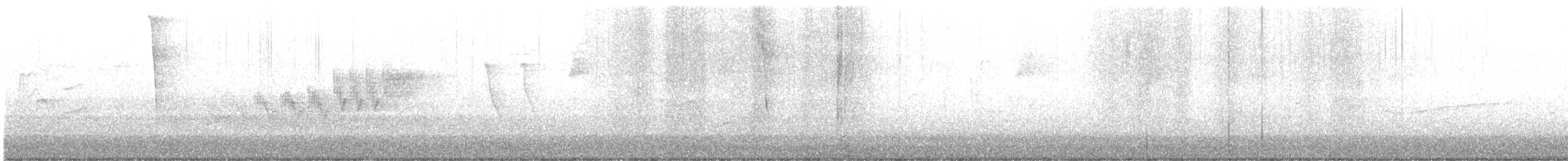 Cerulean Warbler - ML618993501