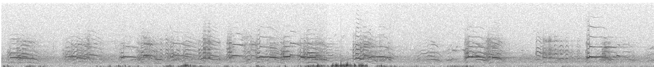 Goéland à bec cerclé - ML618993803