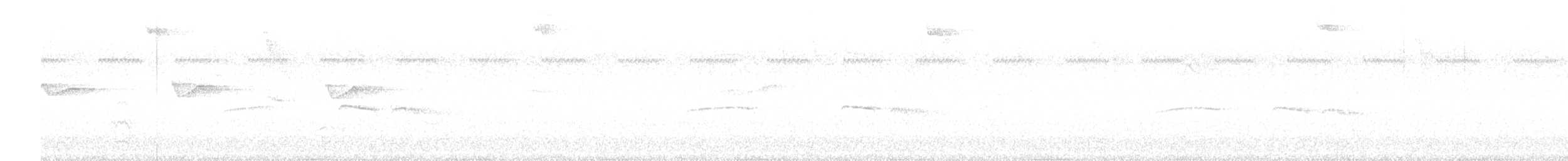Тиранчик-тонкодзьоб південний - ML618994230