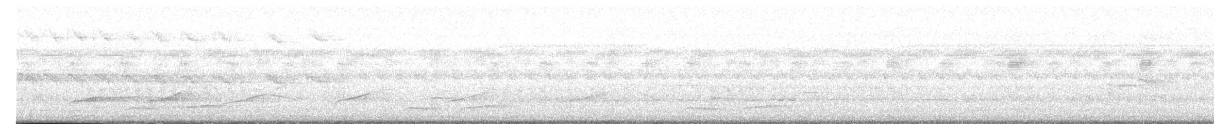 Касик жовтодзьобий (підвид holosericeus/flavirostris) - ML618994333