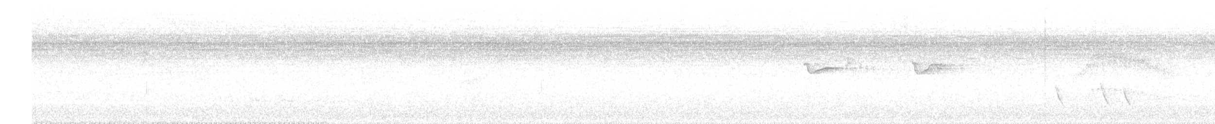 Белокрылый бекард - ML618995012