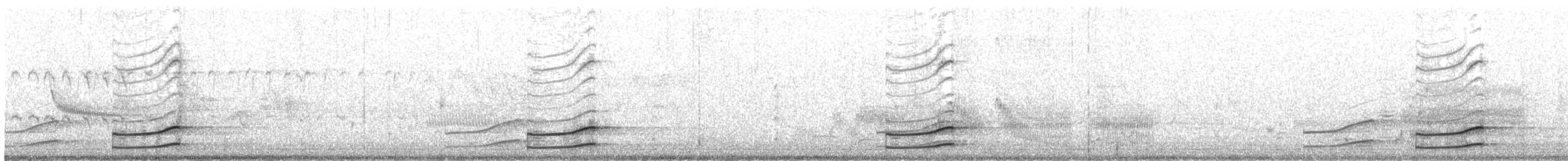 Sora - ML618995512