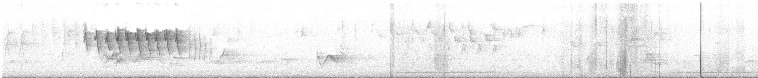 Wilson's Warbler - ML618995976