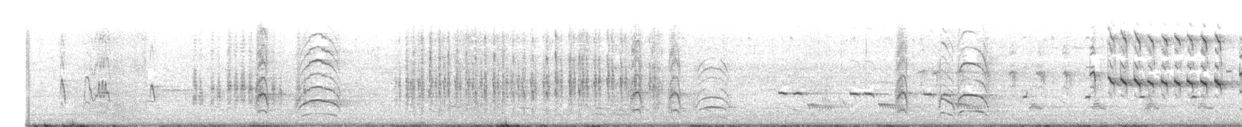 Schwefelmaskentyrann - ML618998422