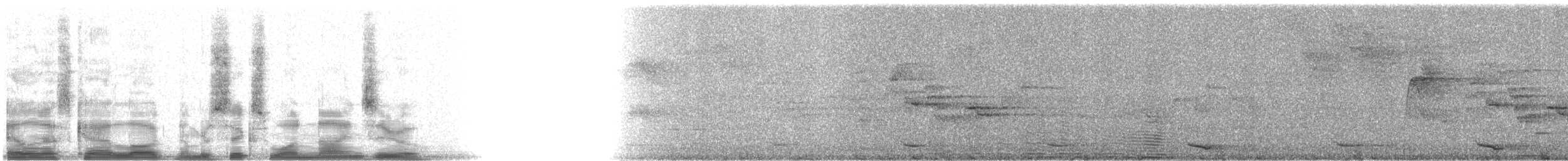 Resplendent Quetzal (Guatemalan) - ML6190