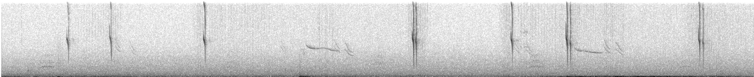 kolibřík skvostný - ML619000372