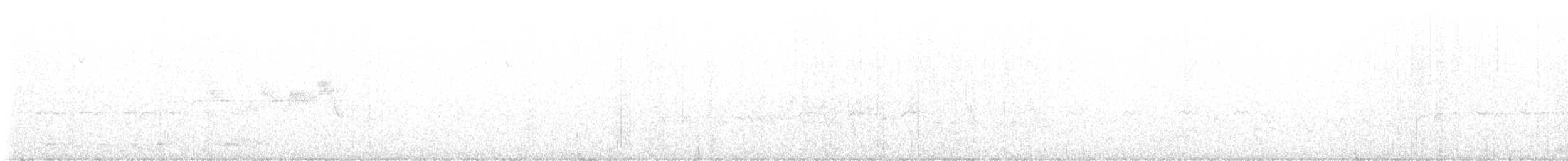 Paruline grise - ML619000380