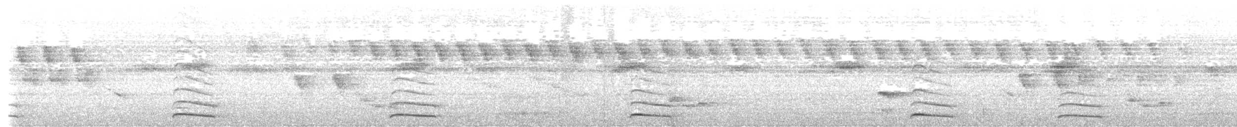 Лінивка білолоба - ML619000474