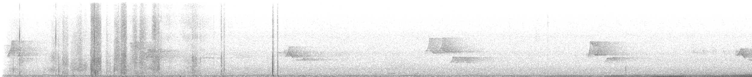 Paruline noir et blanc - ML619000816