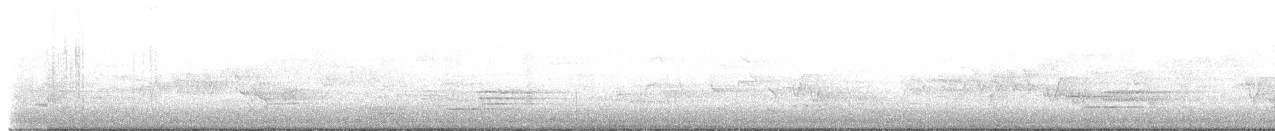 Cerulean Warbler - ML619000832