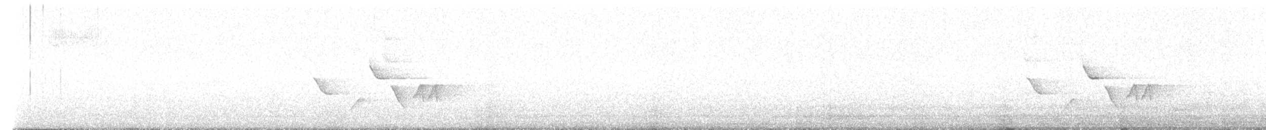 Гвианский крапивник - ML619001687
