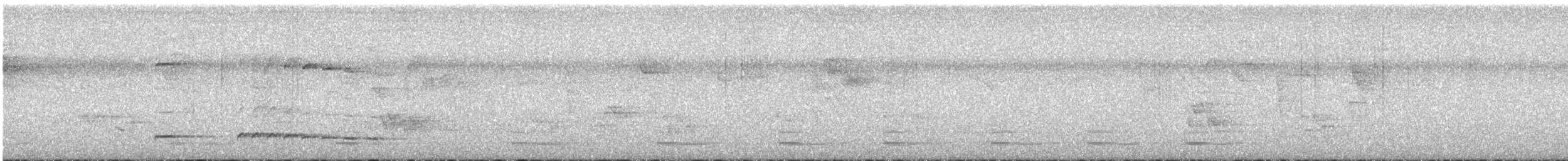 Graubrust-Ameisendrossel - ML619001905