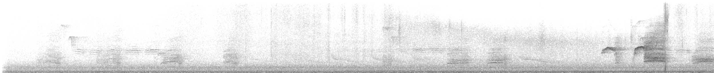 Ширококрылый канюк - ML619003518