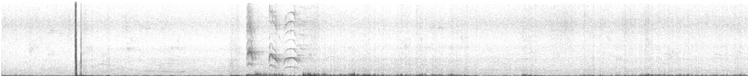 Büyük Kiskadi Tiranı - ML619003554