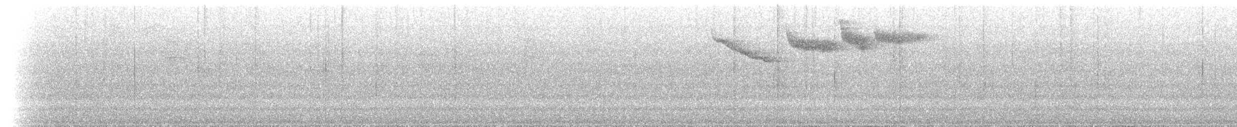 Turuncu Gagalı Çalı Serçesi (spectabilis) - ML619003793