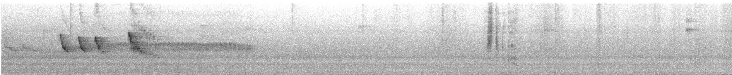 サンロクキクイタダキモドキ（olallai） - ML619003884