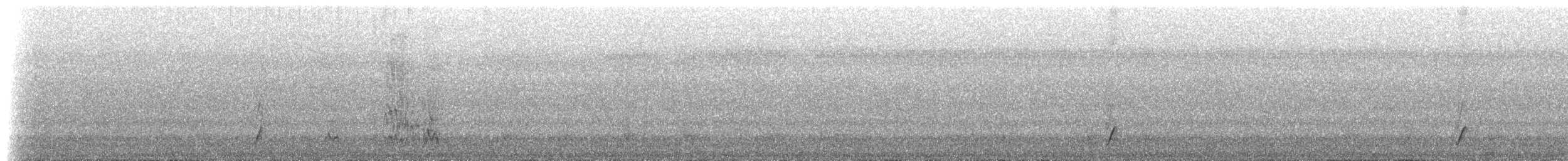 Breithauben-Stirnvogel [angustifrons-Gruppe] - ML619003937